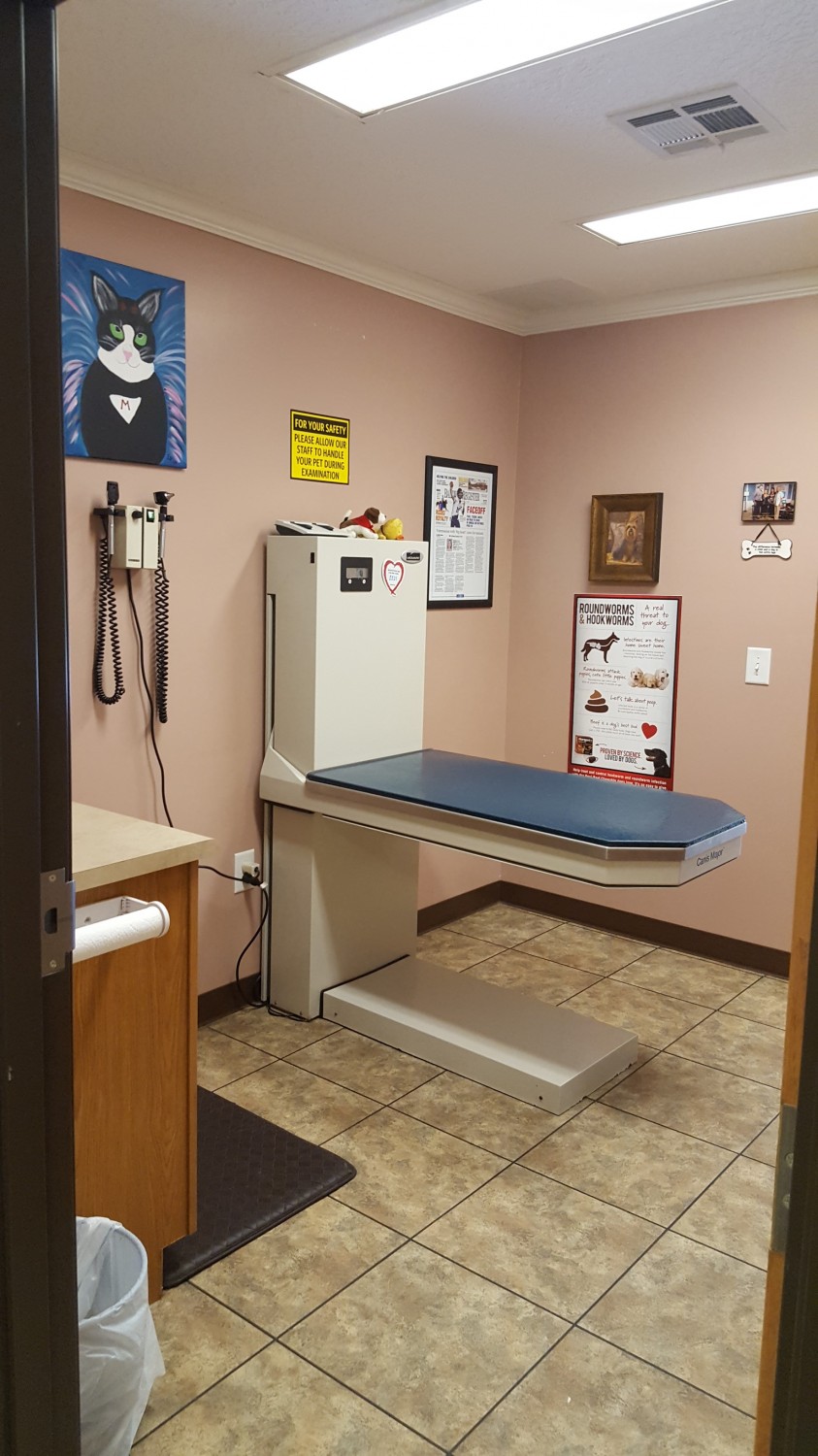 Dog Exam Room